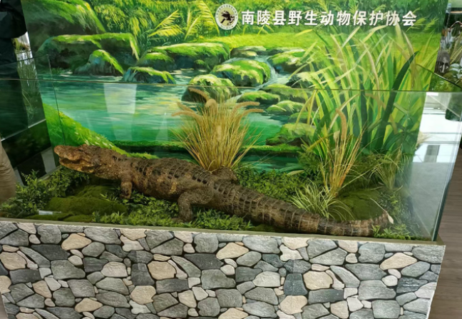 QQ截图20220909172423.png